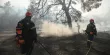 Le feu, qui a commencé jeudi après-midi, se situe dans une zone boisée située à environ 90 kilomètres au sud de Thessalonique, deuxième ville de Grèce.