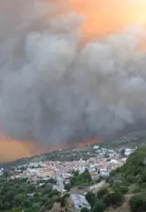 incendies samos