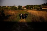 Un groupe de réfugiés se dirige vers la ville grecque de Didymotique après avoir traversé le fleuve Evros, frontière naturelle entre la Grèce et la Turquie, en avril 2018. Alkis Konstantinidis / REUTERS


