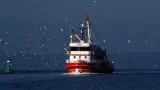Les pêcheurs grecs de dorade noire sont menacés par leur collègues turcs dans la mer Égée en raison notamment d'un conflit maritime et économique. Umit Bektas/REUTERS


