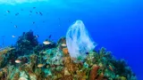 La Grèce produit 700.000 tonnes de déchets plastiques par an, soit 68 kg par habitant, dont 11.500 tonnes échouent en mer. Richard Whitcombe/whitcomberd - stock.adobe.com


