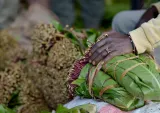 Un marché à Maua, Kenya, où des cueilleurs emballent des paquets de khat, une plante euphorisante.