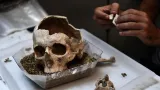 Analyse d'un crâne humain dans le laboratoire de l'American School of Archaeology d'Athènes. Crédits photo : ARIS MESSINIS/AFP


