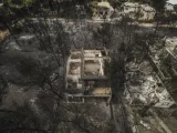 Dans le village de Mati, près de Athènes, le 24 juillet.



