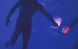 orbleu