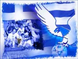 aetos compo