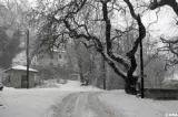 neige metaxochori