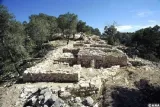 salamina