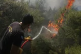 incendies parnitha 2