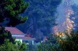 incendies akrata