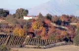 grevena