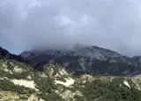 pirin