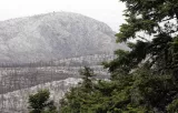 parnitha incendies
