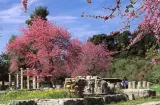 athenes parc