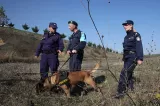 frontex