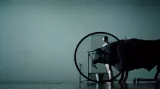 D. Papaïoannou, Transverse Orientation
