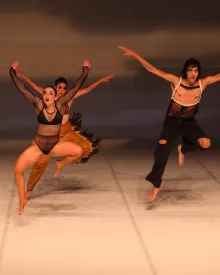 Les oiseaux - Lenio Kaklea