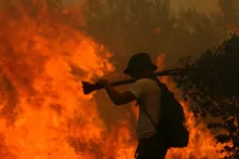 incendies attique3
