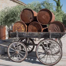 Marie-Therèse Cordier