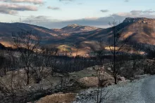 Les incendies d'Evros © Penelope Thomaidi / Hans Lucas