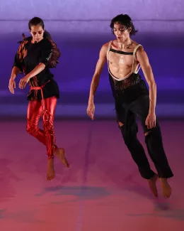 Les oiseaux - Lenio Kaklea