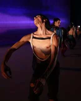 Les oiseaux - Lenio Kaklea