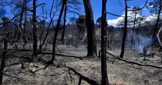 Troisième jour d'incendie dans la région d'Athènes, une «immense catastrophe écologique» Troisième jour d'incendie dans la région d'Athènes, une «immense catastrophe écologique».