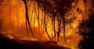 A Chypre, «le pire incendie depuis 1974» A Chypre, «le pire incendie depuis 1974».