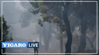Incendie à Athènes : un apiculteur de 64 ans arrêté, le feu est désormais «sous contrôle» Incendie à Athènes : un apiculteur de 64 ans arrêté, le feu est désormais «sous contrôle».