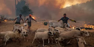 En Turquie et en Grèce, une canicule et des feux d’une ampleur historique En Turquie et en Grèce, une canicule et des feux d’une ampleur historique.
