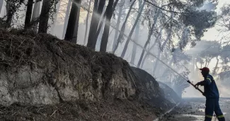 Un pompier grec noie les arbres près du village de Thrakomakedones, au nord d'Athènes, samedi.



