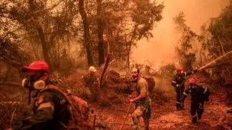 Grèce : «corps-à-corps» pour arrêter la course folle de l'incendie d'Eubée, plus de 3000 évacuations 650 pompiers opèrent sur l'île, dont certains venus d'Ukraine, de Serbie et de Roumanie. ANGELOS TZORTZINIS / AFP
