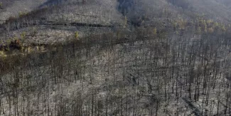 En Grèce, les pompiers commencent à maîtriser les incendies sur l’île d’Eubée après neuf jours de « corps-à-corps » En Grèce, les pompiers commencent à maîtriser les incendies sur l’île d’Eubée après neuf jours de « corps-à-corps ».
