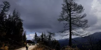 La Grèce espère que les premières averses sonnent la fin des incendies, après deux semaines de canicule La Grèce espère que les premières averses sonnent la fin des incendies, après deux semaines de canicule.