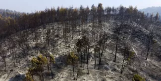 Grèce : même si les incendies sont maîtrisés, les pompiers restent en état d’alerte Grèce : même si les incendies sont maîtrisés, les pompiers restent en état d’alerte.