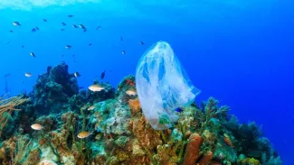 Grèce: le fléau des déchets plastiques dans la Méditerranée La Grèce produit 700.000 tonnes de déchets plastiques par an, soit 68 kg par habitant, dont 11.500 tonnes échouent en mer. Richard Whitcombe/whitcomberd - stock.adobe.com