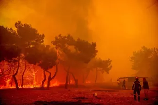 Feux de forêt en Grèce: le gouvernement évoque "une lutte difficile" pour sauver l'écosystème Feux de forêt en Grèce: le gouvernement évoque "une lutte difficile" pour sauver l'écosystème.