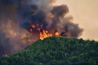 Grèce: les pompiers luttent depuis six jours contre l'incendie dans un parc national Grèce: les pompiers luttent depuis six jours contre l'incendie dans un parc national.