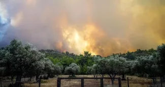L'incendie de Rhodes à l'origine de «la plus grande opération d'évacuation jamais effectuée en Grèce» L'incendie de Rhodes à l'origine de «la plus grande opération d'évacuation jamais effectuée en Grèce».