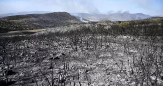 EN DIRECT - Incendies autour de la Méditerranée : après les îles, le centre de la Grèce s’embrase à son tour EN DIRECT - Incendies autour de la Méditerranée : après les îles, le centre de la Grèce s’embrase à son tour.