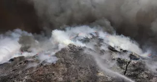 Incendies en Grèce : l'écosystème «en danger», selon des experts Incendies en Grèce : l'écosystème «en danger», selon des experts.