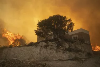 Des experts partagent leur inquiétude suite aux incendies en Grèce: "L'écosystème est en danger" Des experts partagent leur inquiétude suite aux incendies en Grèce: "L'écosystème est en danger".