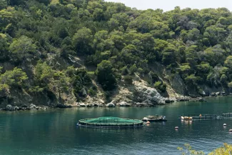 L’île grecque de Poros vent debout contre la croissance effrénée de la pisciculture L’île grecque de Poros vent debout contre la croissance effrénée de la pisciculture.