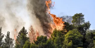 Grèce : 18 migrants présumés retrouvés morts dans un feu de forêt Grèce : 18 migrants présumés retrouvés morts dans un feu de forêt.