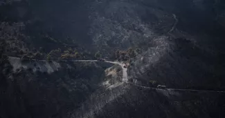 En Grèce, les zones brûlées par les incendies de l’été vont dépasser les 150 000 hectares En Grèce, les zones brûlées par les incendies de l’été vont dépasser les 150 000 hectares.