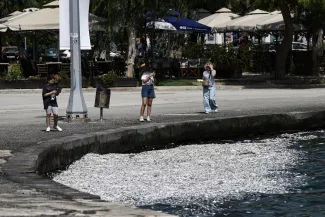 <p>Des personnes prennent des photos de poissons morts flottant dans les eaux du port de Volos, en Grèce centrale.