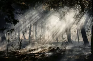 De la fumée s'élève des sous-bois lors d'un incendie de forêt le 23 juin 2025 sut l'île de Chios en Grèce - Dimitris Tosidis - Chíos (AFP)