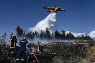 Une cinquantaine d'incendies de forêt se sont déclarés à travers la Grèce au cours des dernières 24 heures dont la plupart ont été maitrisés. Ici à Thessalonique.