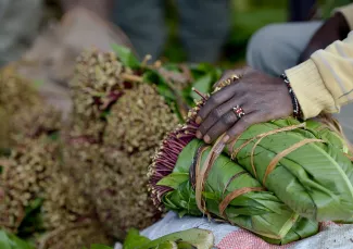 Un marché à Maua, Kenya, où des cueilleurs emballent des paquets de khat, une plante euphorisante.