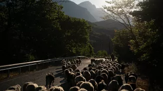 Photo d'archives -  Tous droits réservés  AP Photo